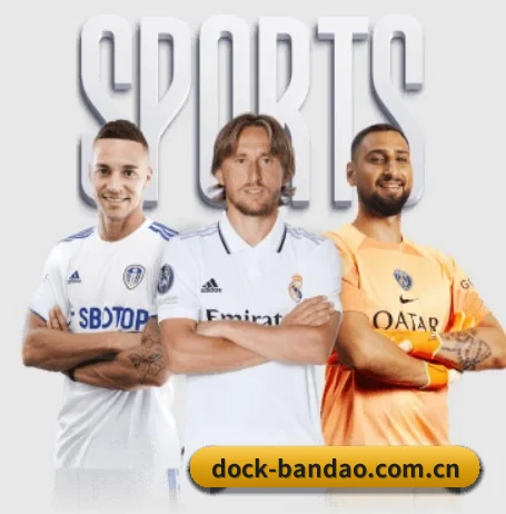 dock-bandao.com.cn APP